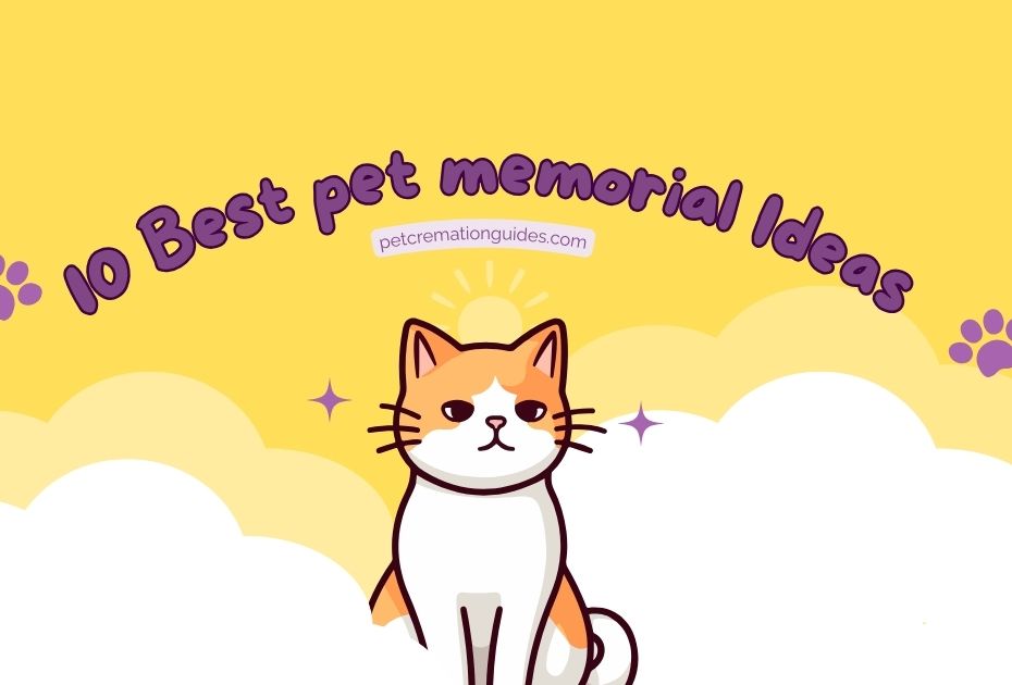 in this post we have given 10 best pet memorial ideas for someone who is going through pet loss